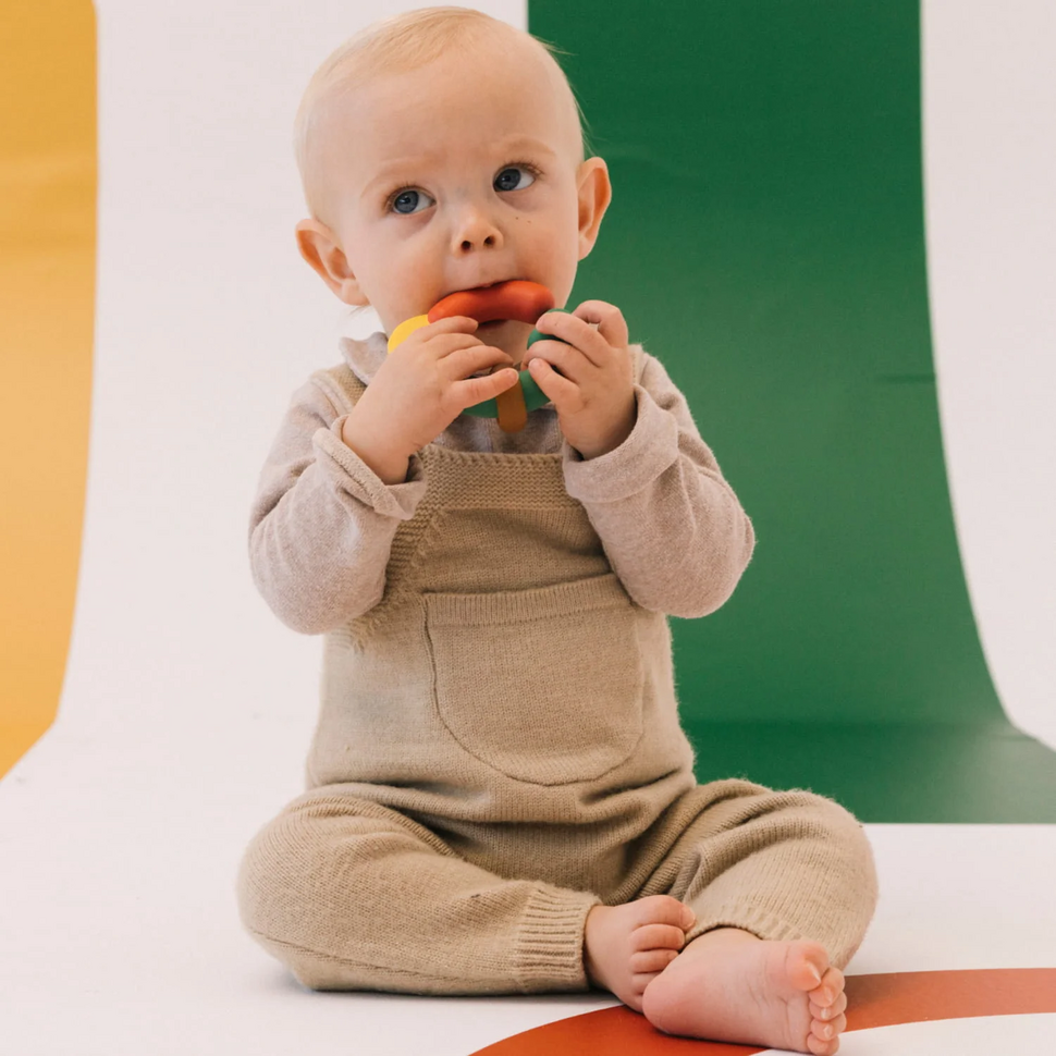 Bijtring The Evolutive Teether 