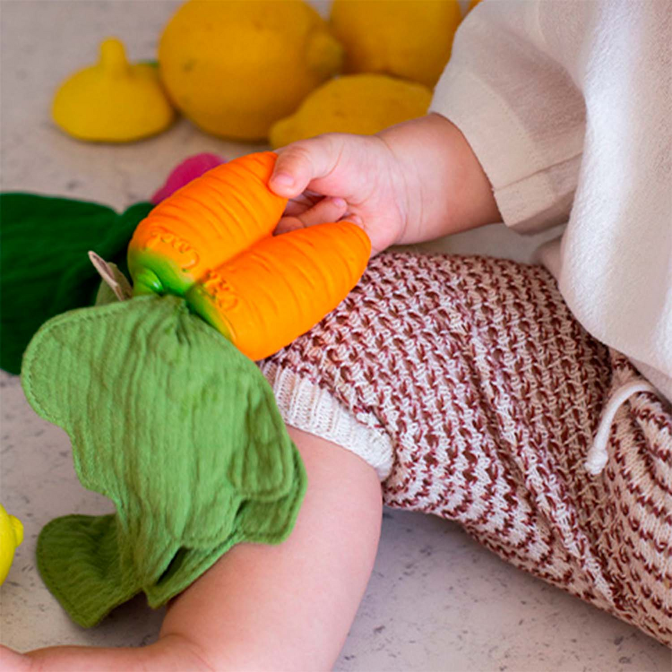 2-in-1 knuffeldoek en bijtring Cathy the Carrot Mini 