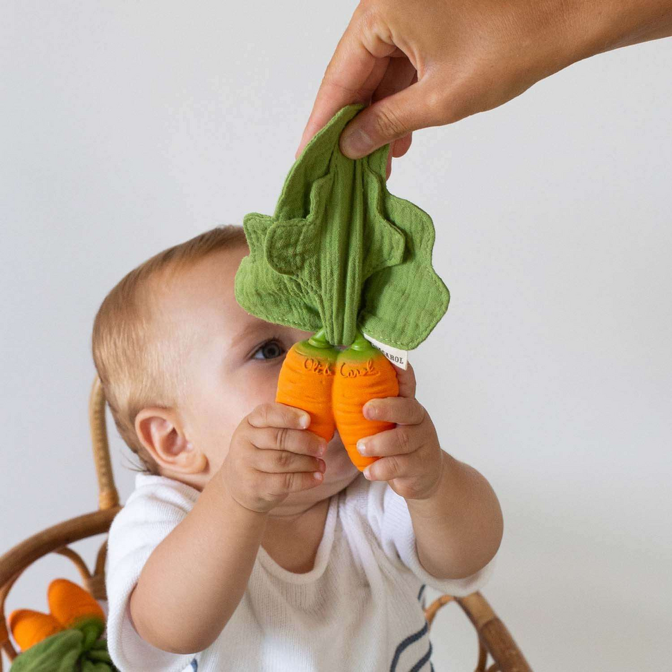 2-in-1 knuffeldoek en bijtring Cathy the Carrot Mini 