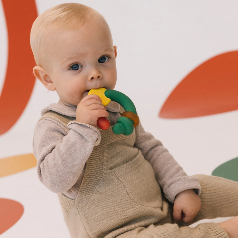 Bijtring The Evolutive Teether 
