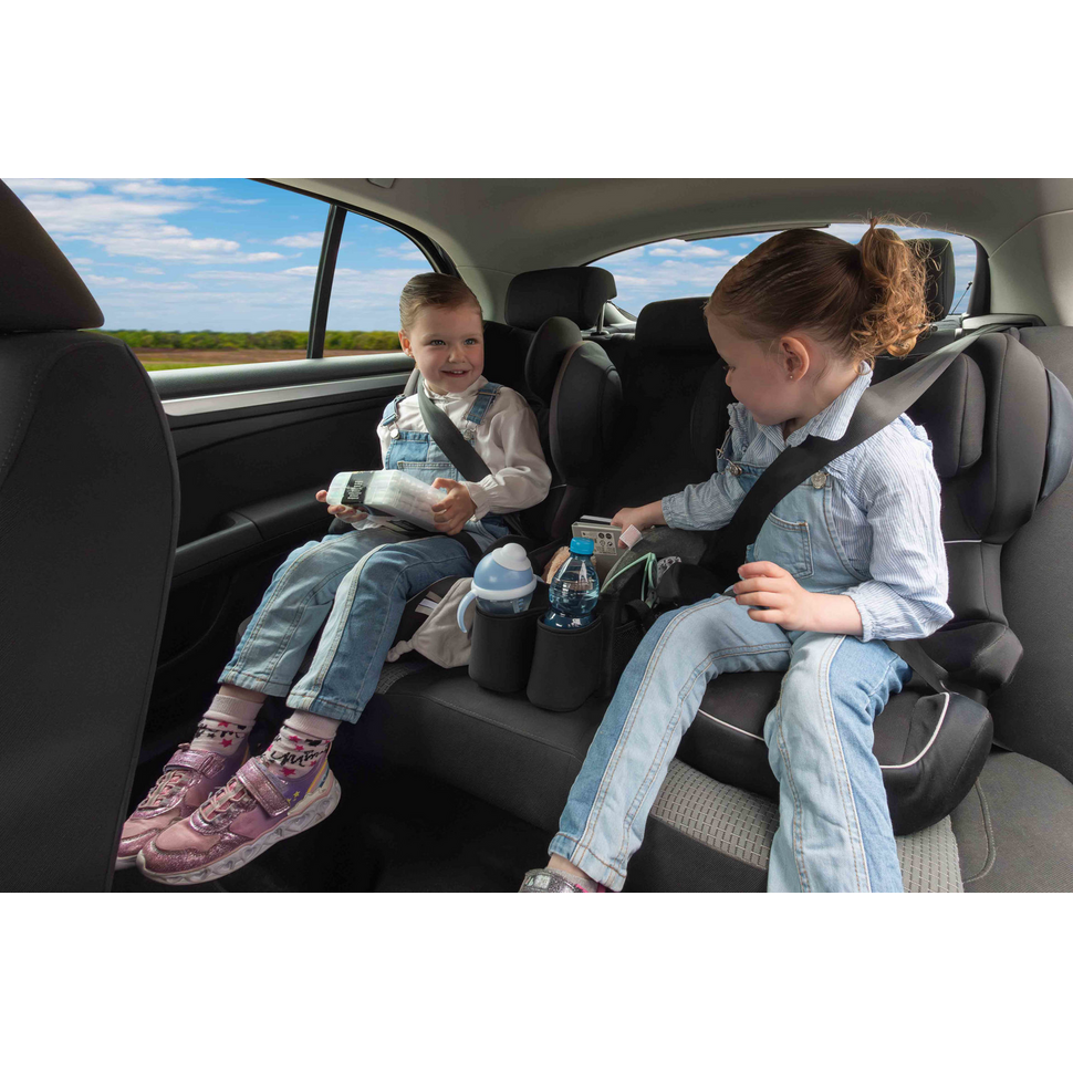 Mand voor achterbank