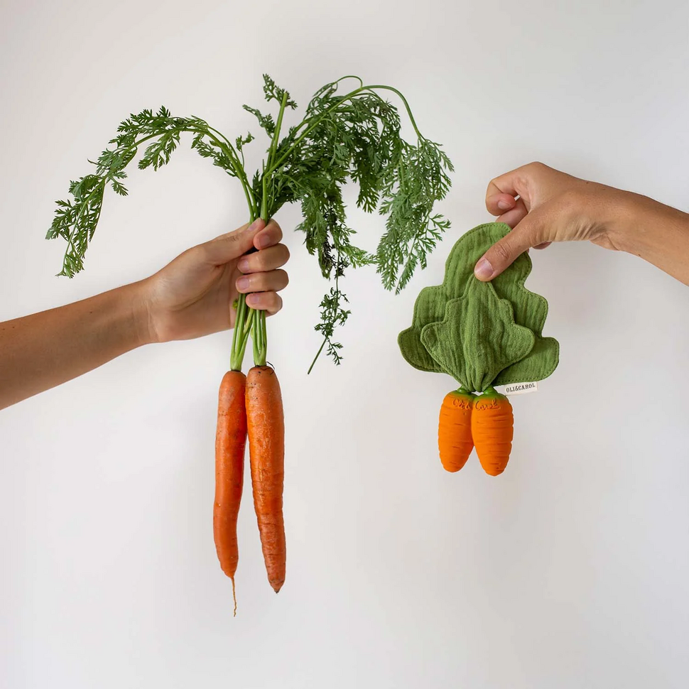 2-in-1 knuffeldoek en bijtring Cathy the Carrot Mini 