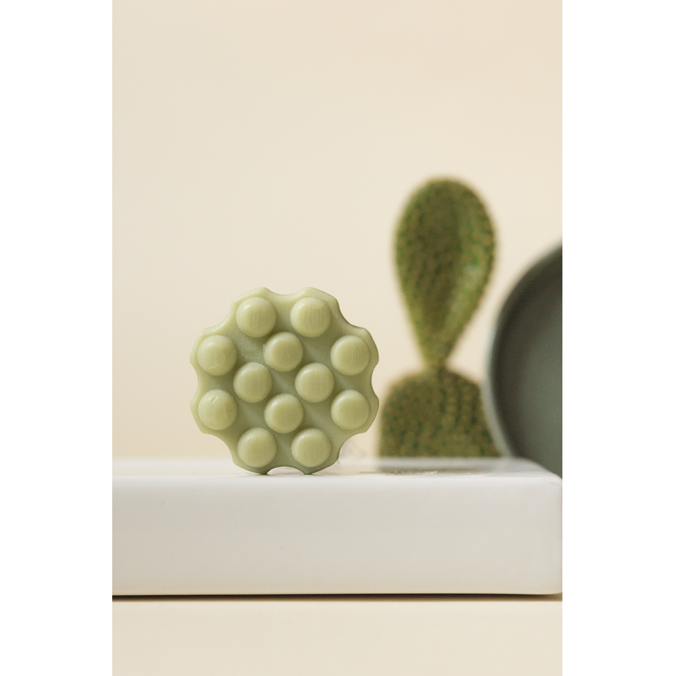 Shampoo bar - refreshing cactus