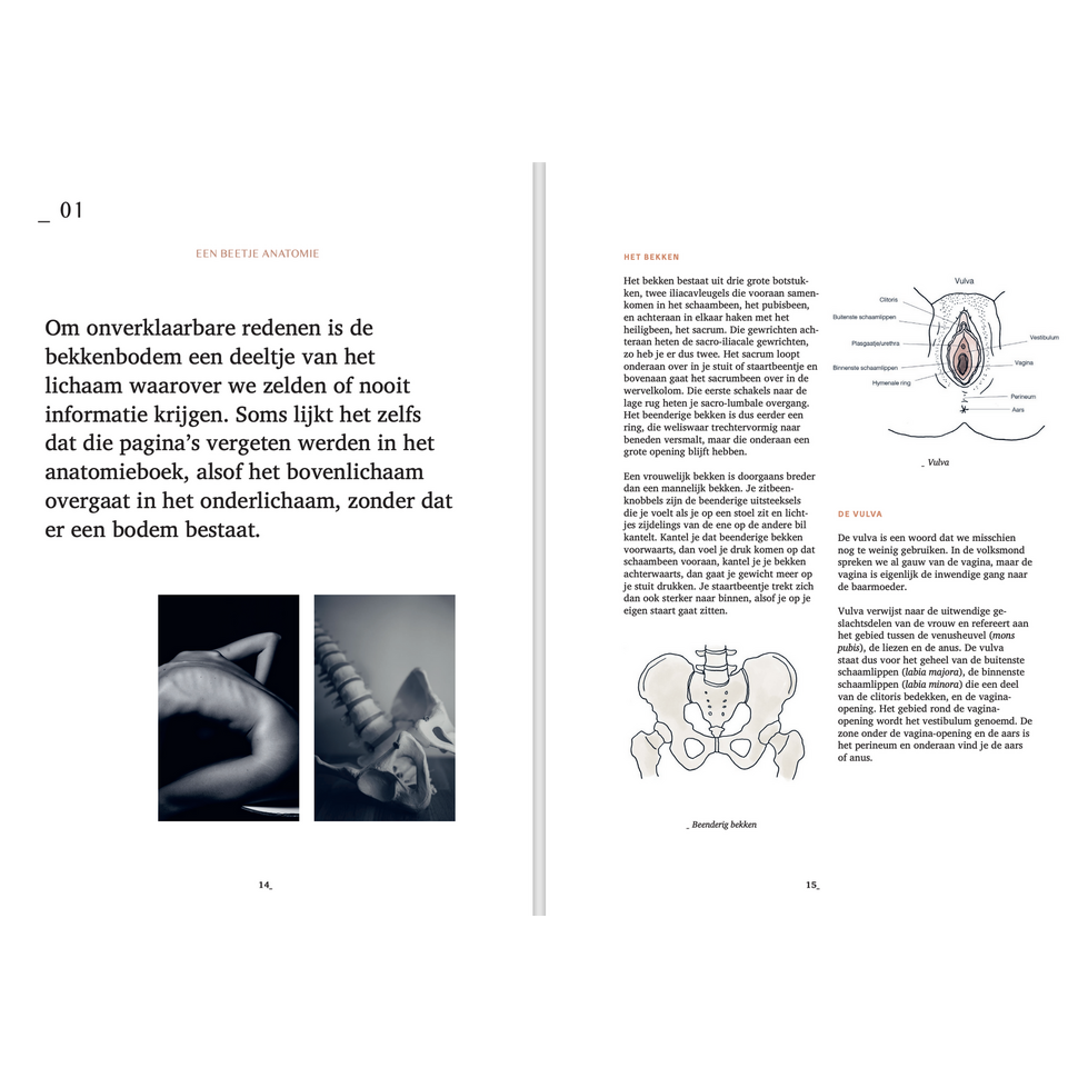 Het bekkenbodemboek